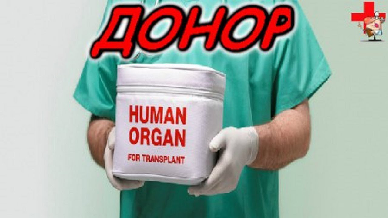 Донорство почки сайт. Продажа органов. Срочно нужен донором почки.